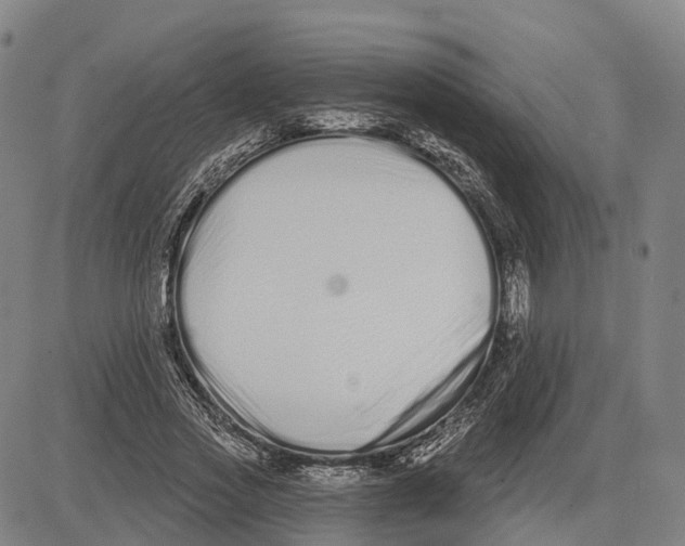 X0000081420733200702021627