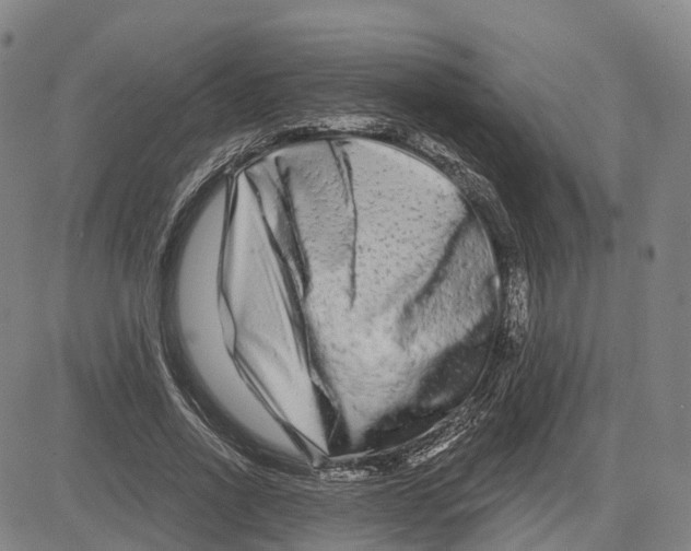 X0000081420734200702021627