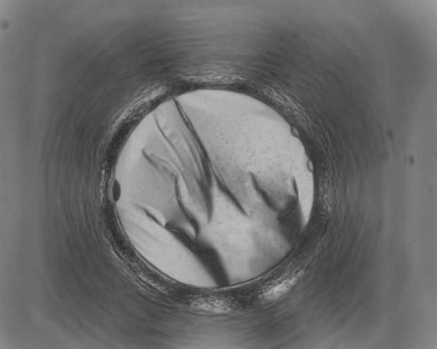 X0000081420735200702021627