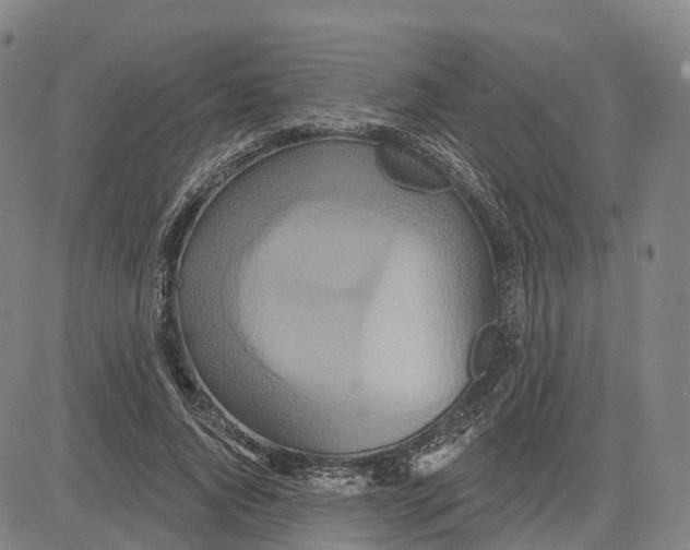 X0000081420736200702021627