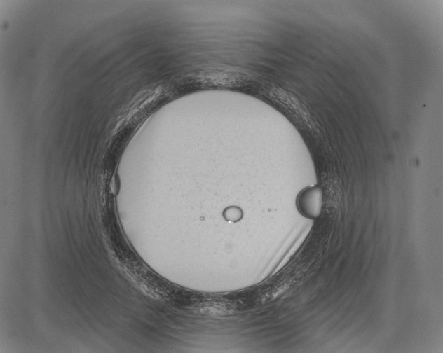 X0000081420738200702021627