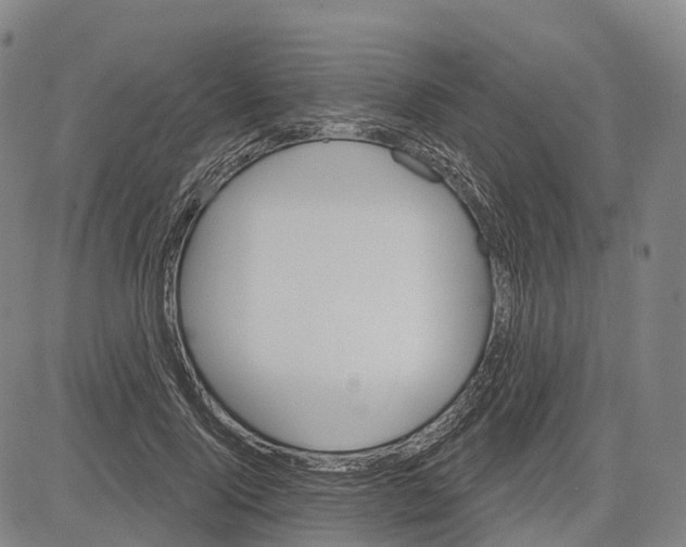 X0000081420740200702021627