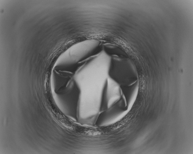 X0000081420742200702021627