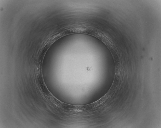 X0000081420743200702021627