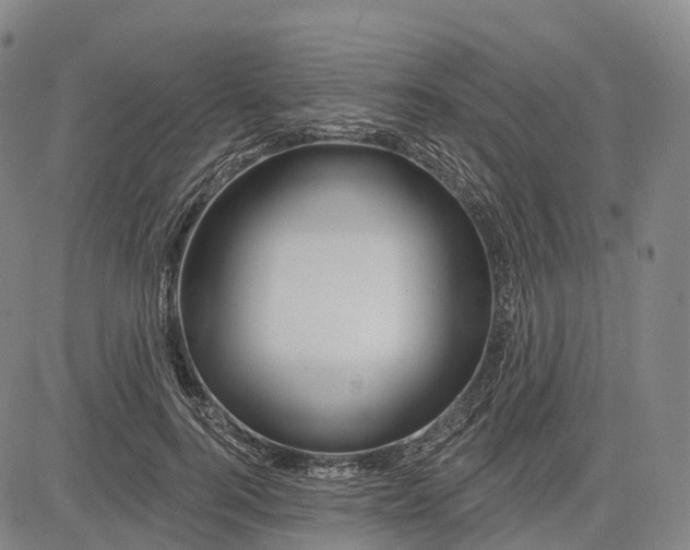 X0000081420744200702021627