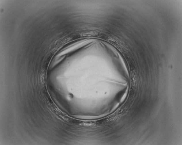 X0000081420745200702021627