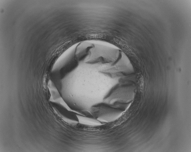 X0000081420746200702021627