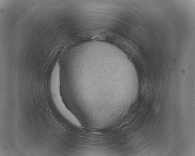 X0000081420748200702021627