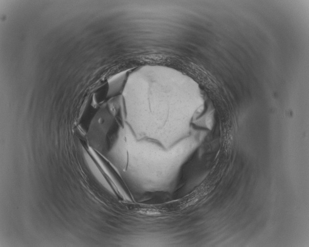 X0000081420749200702021627