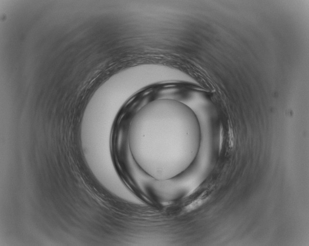 X0000081420750200702021627