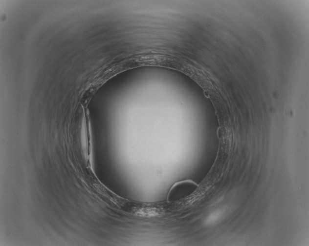 X0000081420751200702021627