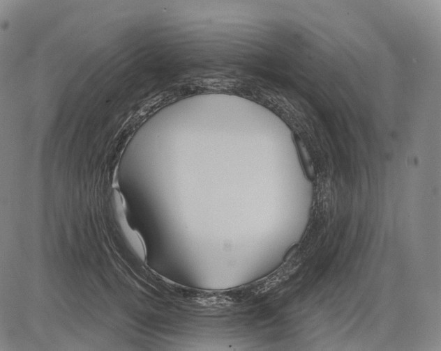 X0000081420752200702021627