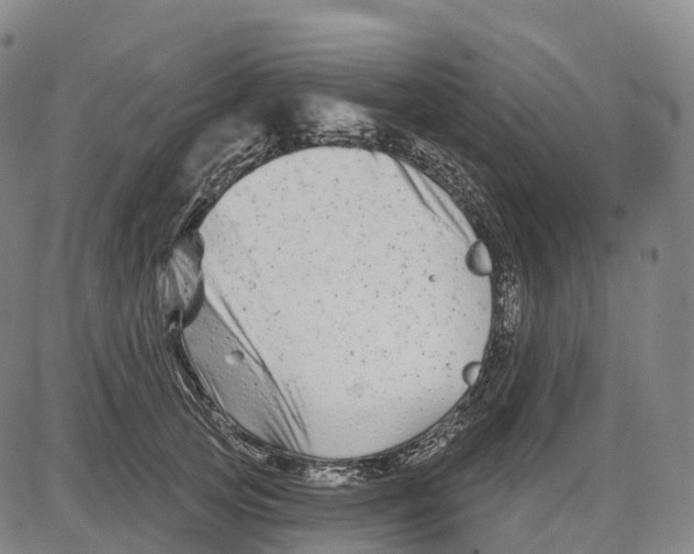 X0000081420753200702021627