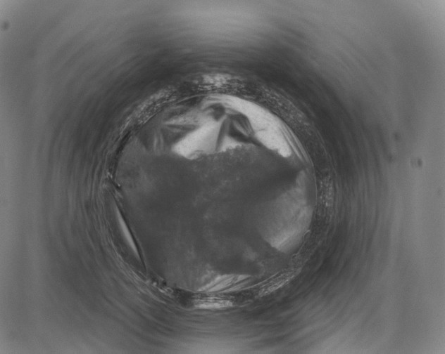 X0000081420754200702021627