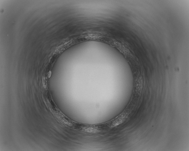 X0000081420755200702021627