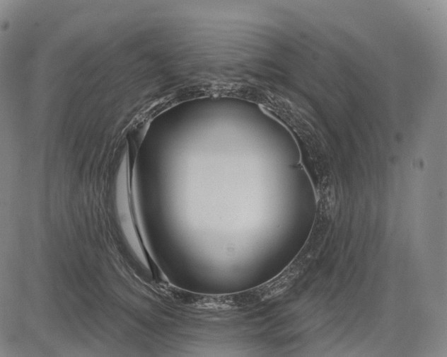 X0000081420756200702021627