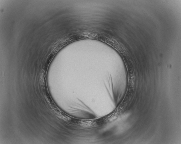 X0000081420757200702021627