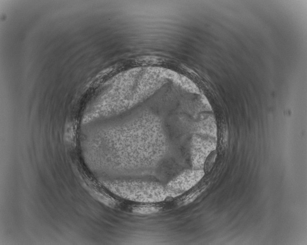 X0000081420759200702021627