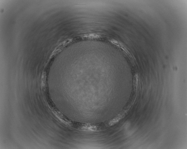 X0000081420760200702021627