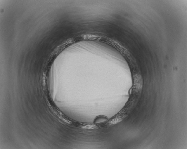 X0000081420761200702021627