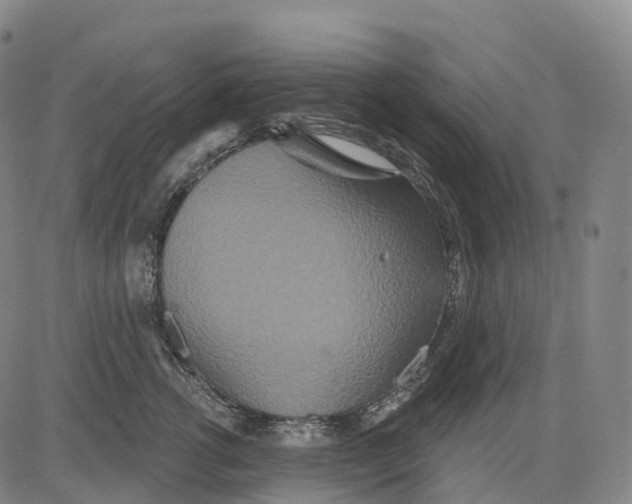 X0000081420762200702021627