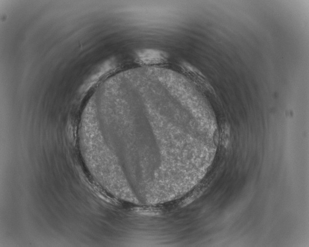 X0000081420763200702021627