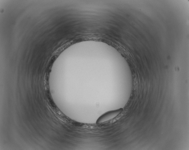 X0000081420764200702021627