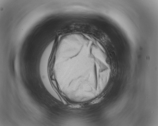 X0000081420765200702021627