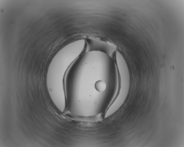 X0000081420766200702021627