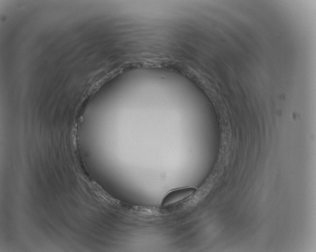 X0000081420768200702021627