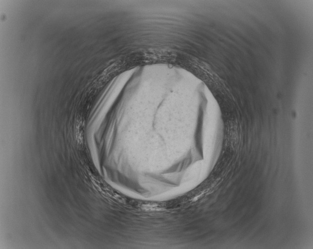 X0000081420770200702021626