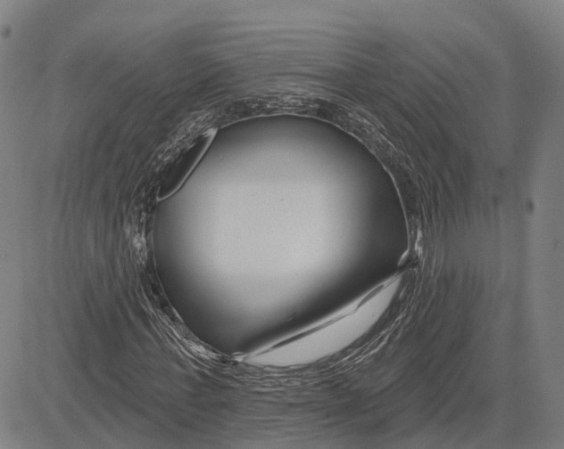 X0000081420771200702021626