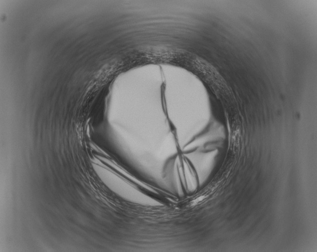 X0000081420772200702021626