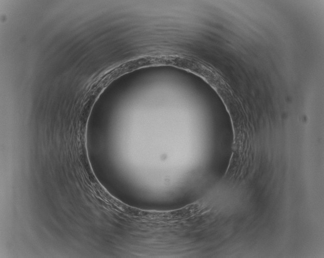 X0000081420773200702021626