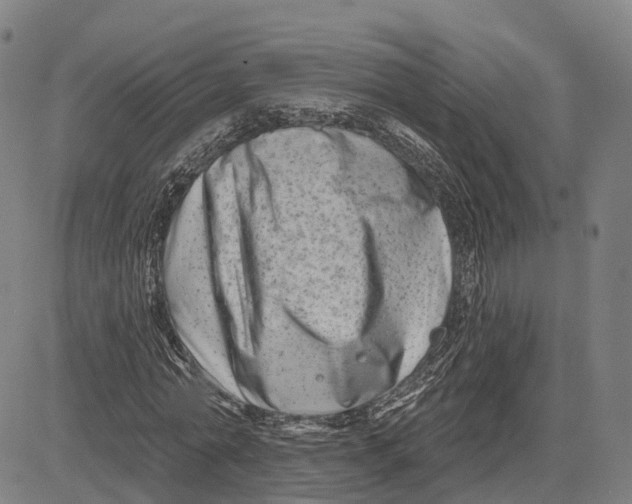 X0000081420774200702021626