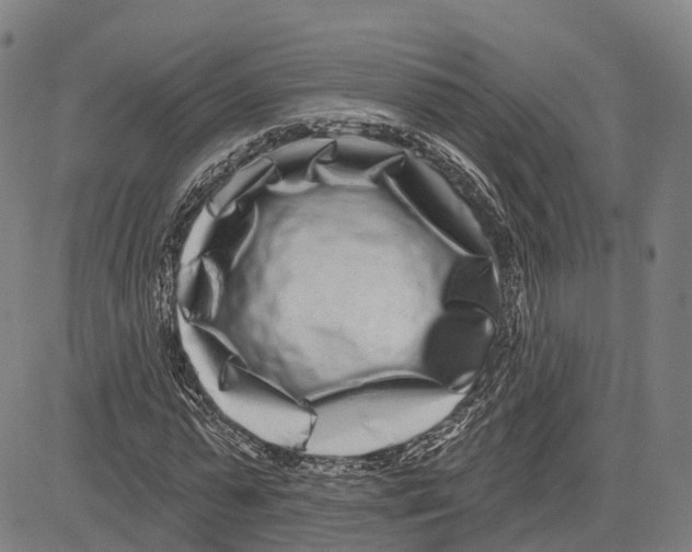 X0000081420775200702021626