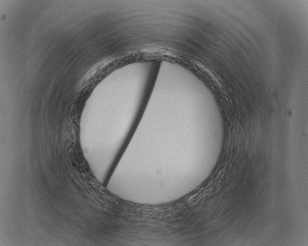 X0000081420776200702021626