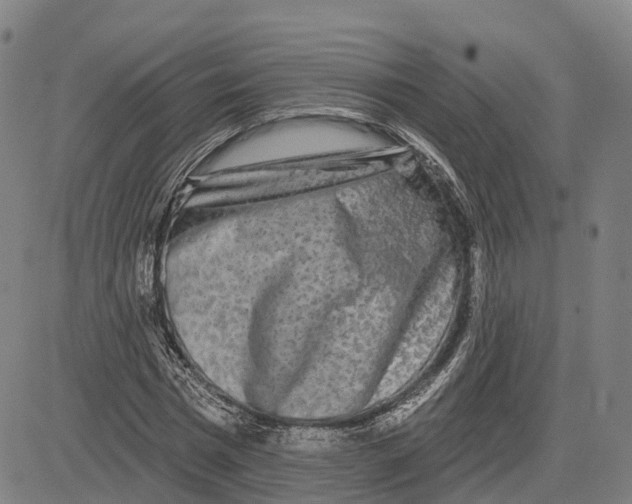 X0000081420777200702021626