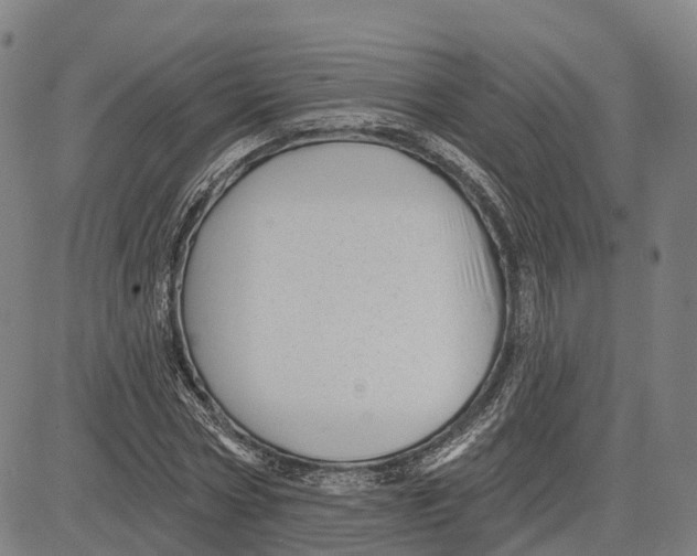 X0000081420778200702021626