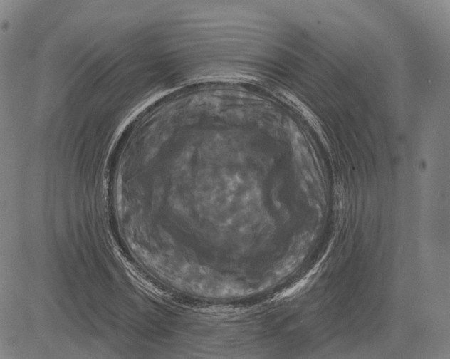 X0000081420779200702021626