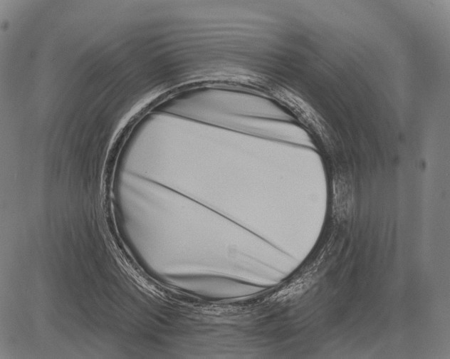 X0000081420780200702021626