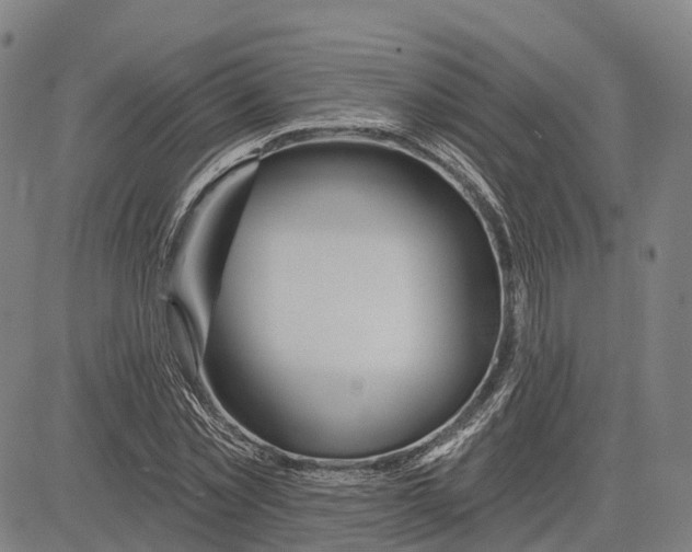 X0000081420781200702021626