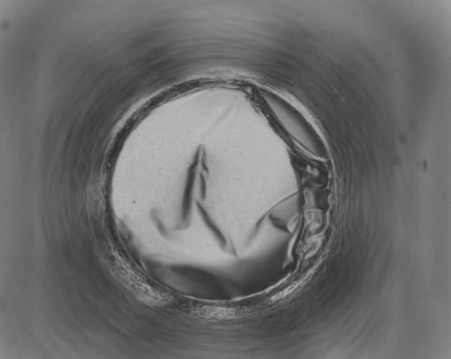 X0000081420783200702021626