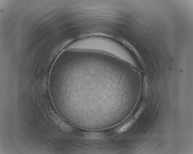 X0000081420785200702021626