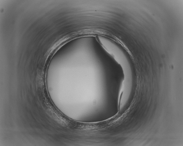 X0000081420786200702021626