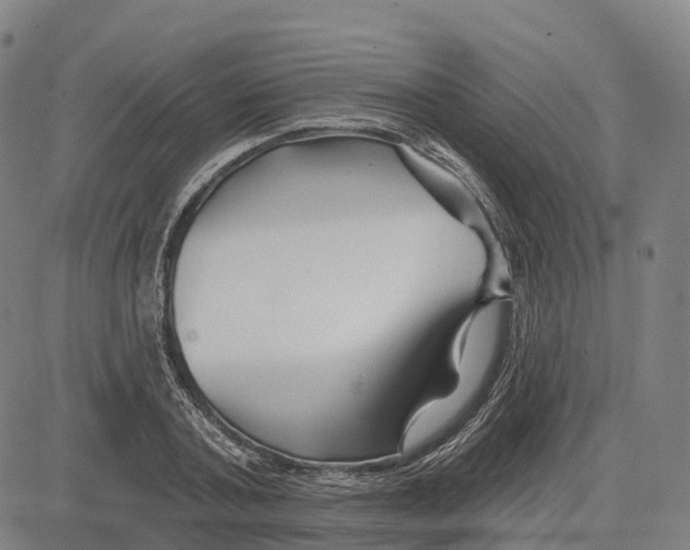 X0000081420787200702021626