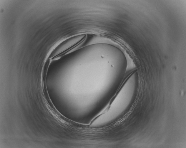 X0000081420788200702021626