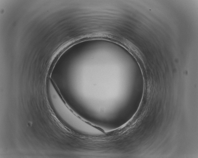 X0000081420789200702021626