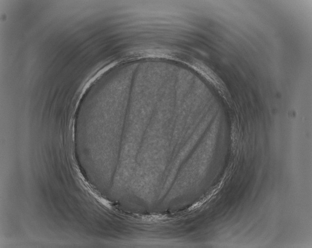 X0000081420790200702021626