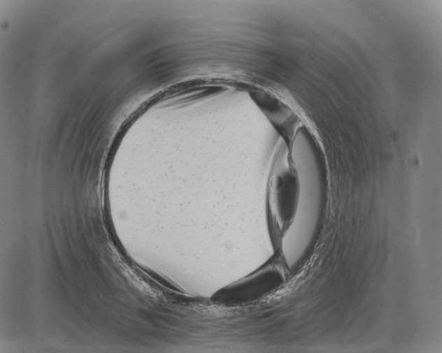 X0000081420791200702021626